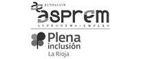 Aspren Plena Inclusion Gris