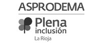 Asprodema Plena Inclusion Gris